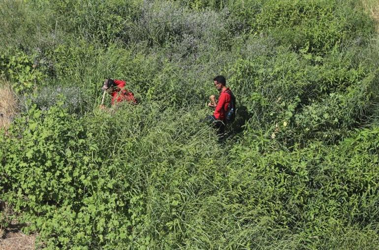 Son dakika: 8 yaşındaki Narin her yerde aranıyor Aileyi şoke eden gelişme: Yeter artık