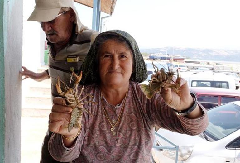 Çocukken başladı, vazgeçmedi... 35 yıldır gün doğumunda çalışıp, para kazanıyor