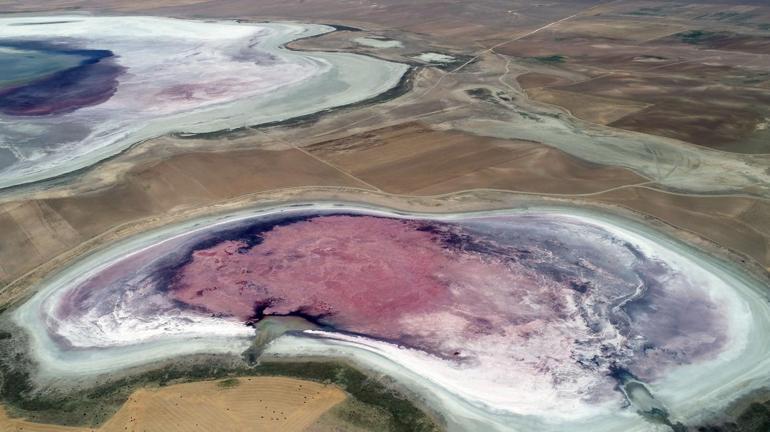 Flamingo cennetinden kötü haber... Pembeye büründü