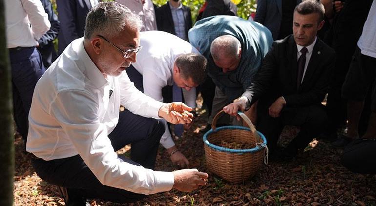 Bakan Işıkhan işçilerle fındık topladı