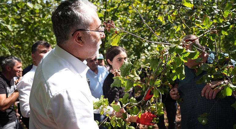 Bakan Işıkhan işçilerle fındık topladı