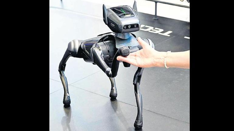 Robotlar eve geliyor