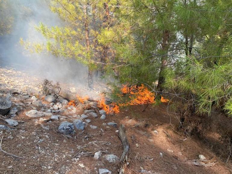 Antalyadaki yangında yeni gelişme 1 arıcı gözaltında