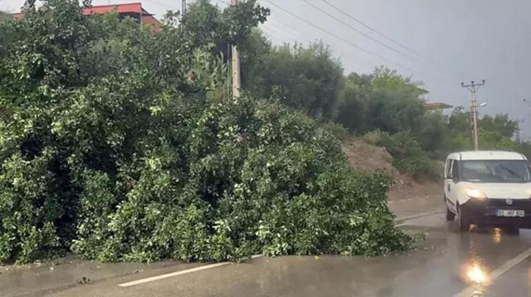 Meteoroloji haritayı değiştirdi İstanbul dahil birçok il için uyarı Dolu, ani sel, su baskını, yıldırım...