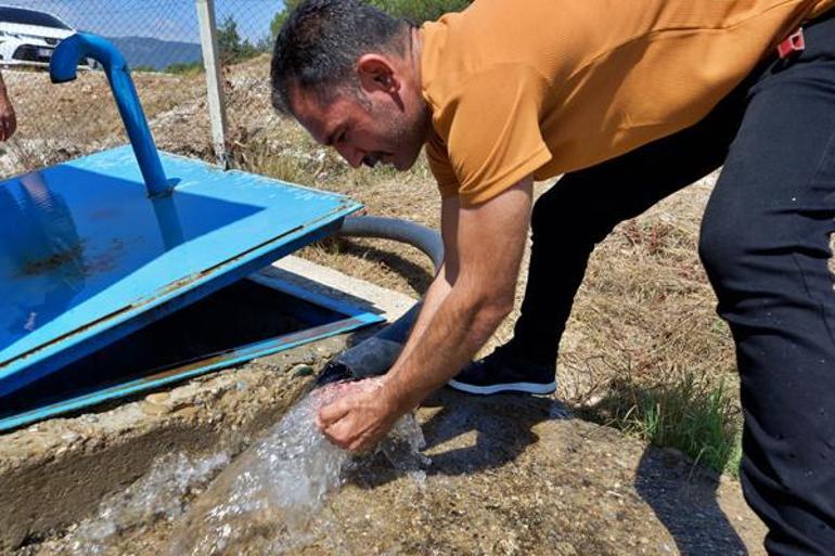 Depremden sonra hayvanlarını otlatan çoban buldu Bölgenin kaderi değişti