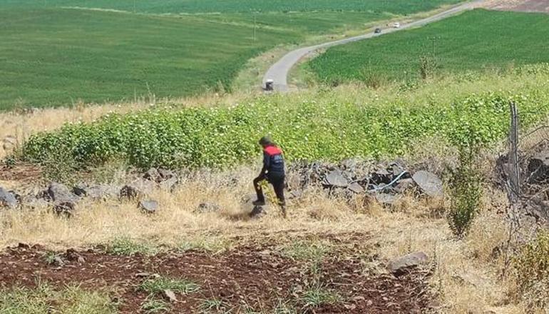 Narinin ön otopsi raporu sonucu ortaya çıktı