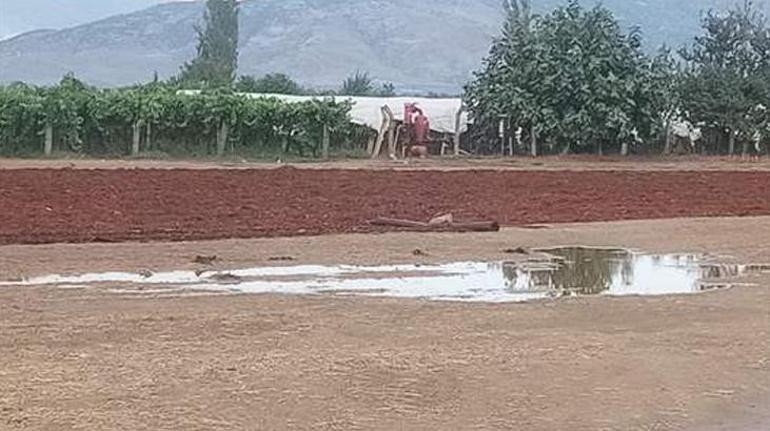 Manisadaki sağanak yağmur üzüm hasadına zarar verdi