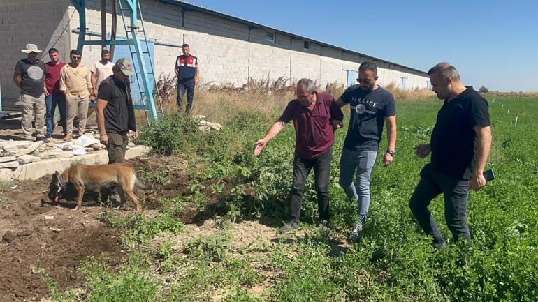 Korkunç itiraf: Kepçeyle kazıp gömdüm... Dayısını öldürüp, hacca gitti süsü verdi