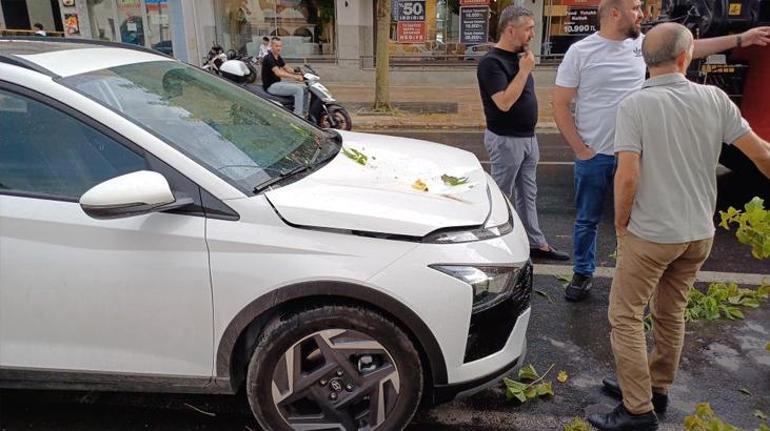 Yeni aldığı aracın üzerine ağaç devrildi Daha borcunu bile ödemedim