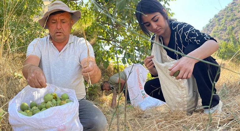 Boşalttıkları köye 29 yıl sonra gildiler