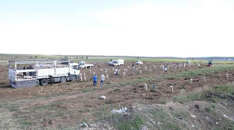 Hepsini ücretsiz dağıttı Duyan kovasını çuvalını alıp tarlaya koştu