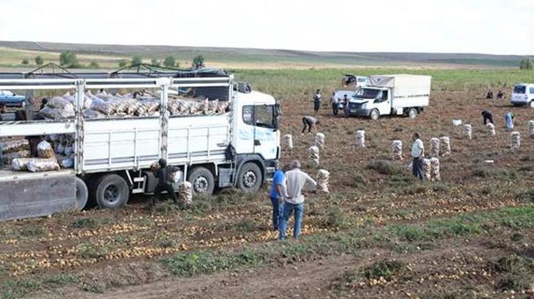 Hepsini ücretsiz dağıttı Duyan kovasını çuvalını alıp tarlaya koştu