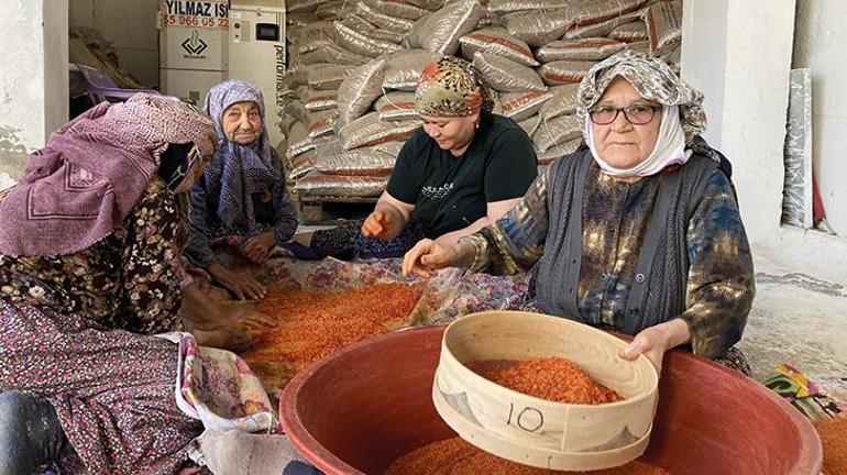 90 yaşındaki 3 arkadaş uzun ömürlerinin sırrını açıkladı