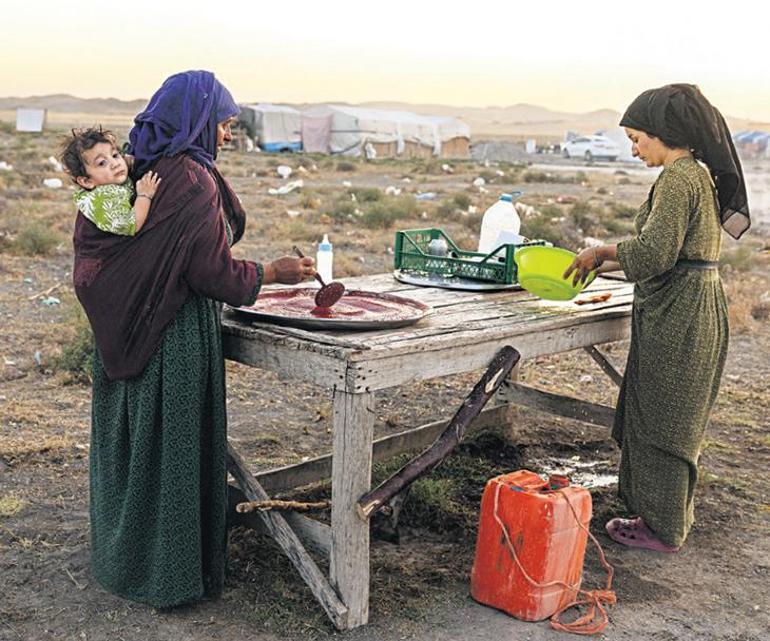 Mevsimlik çile Günde 10-12 saat mesai: İçecek suyumuz bile yok