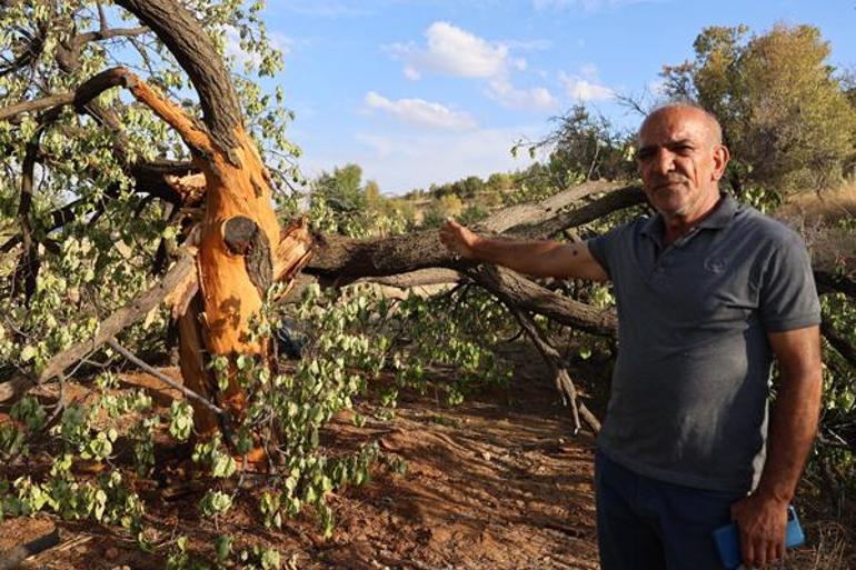 Köylülerin büyük korkusu: Yetkili kurumlara bildirdik, burada bizim bilmediğimiz bir şey var