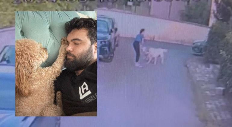 Kangal köpeğin saldırdığı köpek öldü; sahibi kalp krizi geçirdi