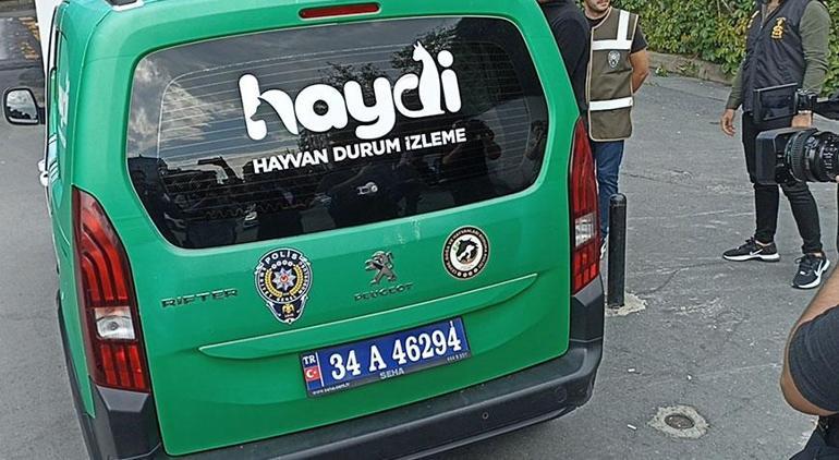 Polis Şeydanın katili hak ettiği yerde Çöp poşeti giydirilip, hayvan taşıma aracına koyuldu