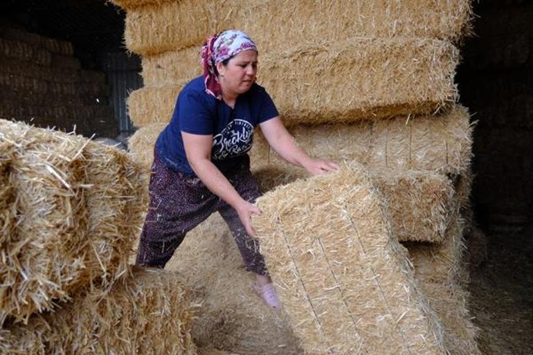 Hayvan bakıcısı olarak köye geldi hanımağa oldu: Yadırgayan herkes kabullendi