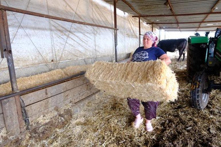 Hayvan bakıcısı olarak köye geldi hanımağa oldu: Yadırgayan herkes kabullendi