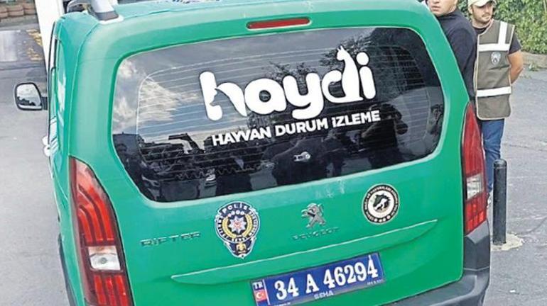 Son dakika Şeyda polisi şehit eden suç makinesi nasıl dışarıda Hiç cezaevine girmemiş