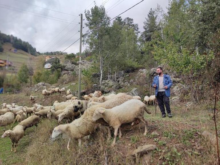 2 üniversite bitirdi, yurt dışında dil eğitimi aldı Kaymakam olmayı hayal ederken çoban oldu