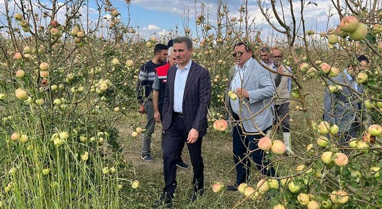 Isparta’da dolu felaketi 16 bin dekar elma bahçesi zarar gördü