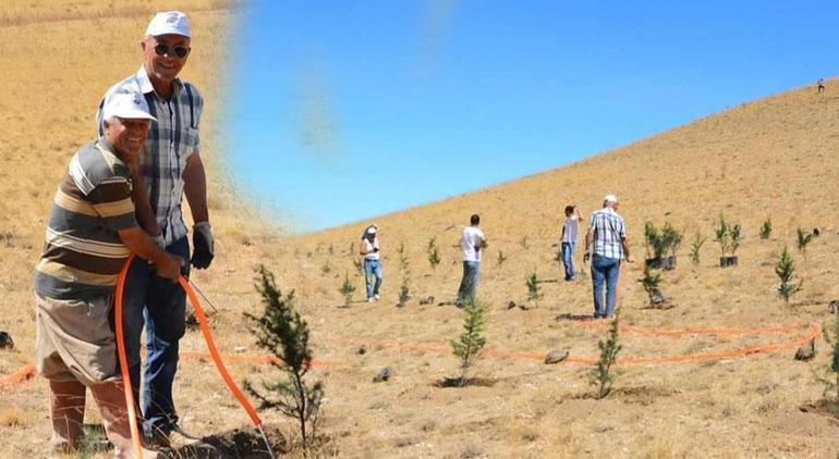 Nişan ve düğünlerde makas kesme parası ile ağaç aldı Bozkırı, ormana çevirdi