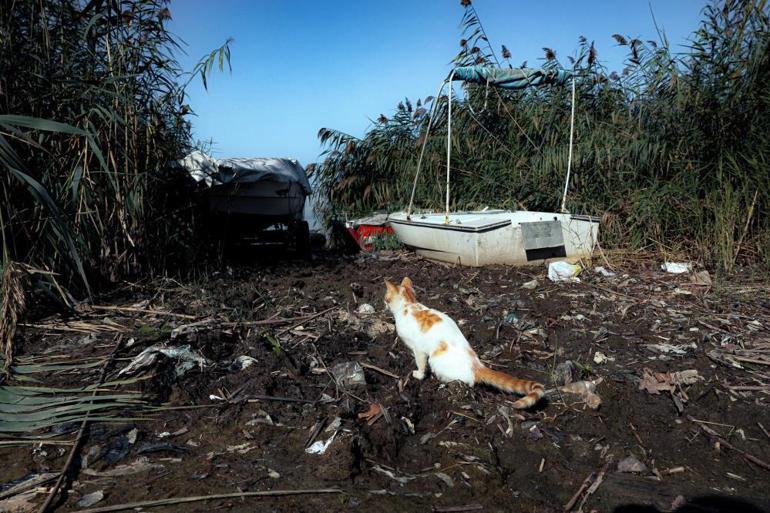 Sapanca Gölünde alarm: Su 17 metre çekildi