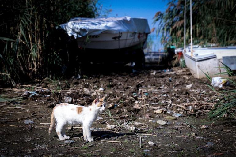 Sapanca Gölünde alarm: Su 17 metre çekildi