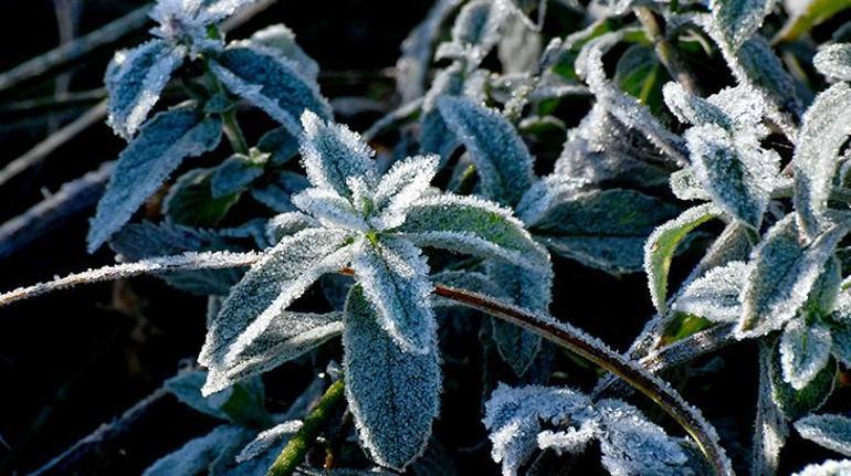 Meteoroloji yeni hava durumu haritası yayımladı ve tek tek illeri uyardı Sisli ve puslu hava hakim olacak