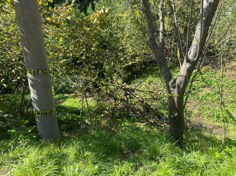 Bahçesine giren 80 yaşındaki yaşlı kadını domuz sanıp öldürdü