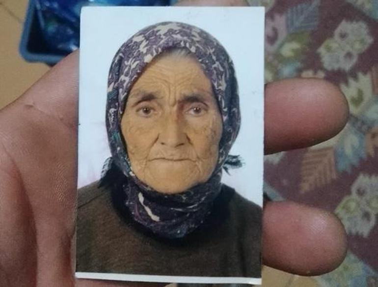 Bahçesine giren 80 yaşındaki yaşlı kadını domuz sanıp öldürdü