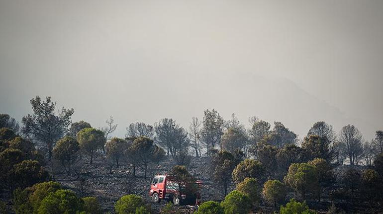 İzmirden sonra bir kentte daha orman yangını