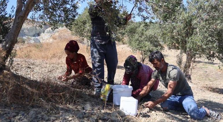 Deprem sonrası dev yarıklar oluşmuştu Ürküten mesai