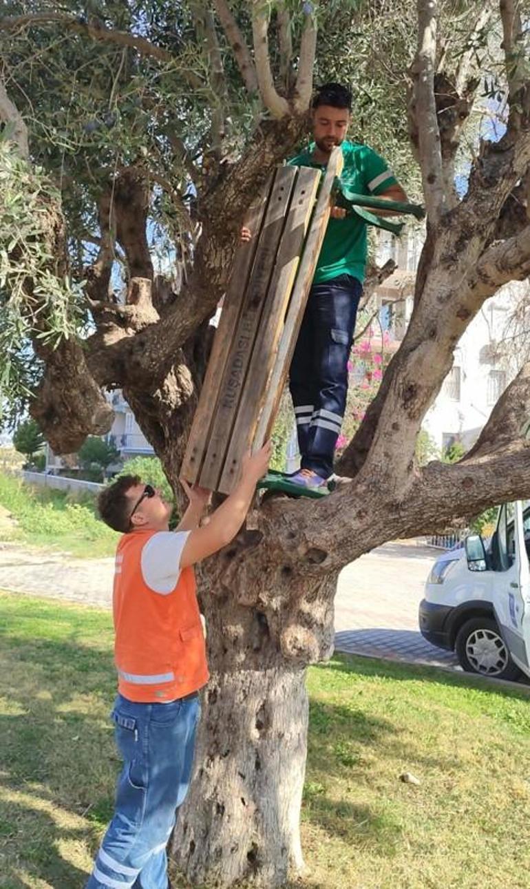 Yer: Aydın Vandallar parktaki bankı söktü, ağaca astı