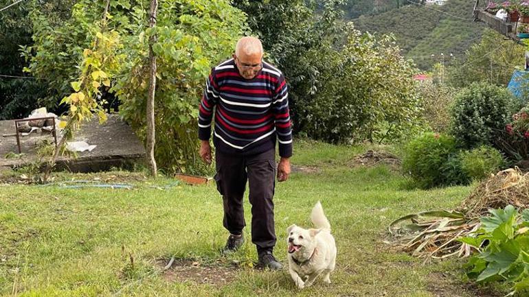 Türkiyenin Hachikosu: Görenler onu izledik, çok ağladık diyor