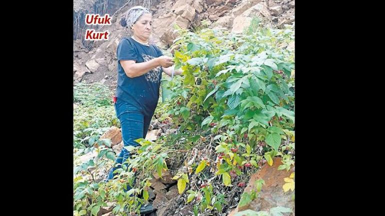 Hayatı ve toprağı yeşerten kadınlar