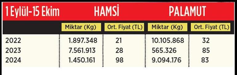 Palamutta ikinci dalga yaşanıyor