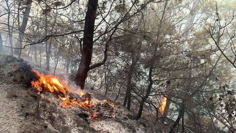 Muğla yanıyor 3 bölgede alevlerle mücadelede 12 saat geride kaldı