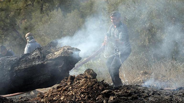 Menteşedeki orman yangınına havadan ve karadan müdahale sürüyor