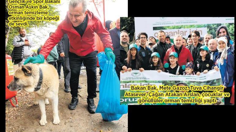 Orman temizliği için güç birliği