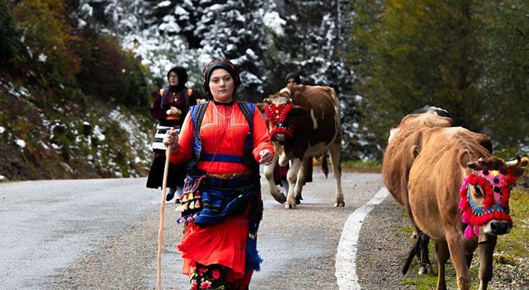 Hava soğudu, kar bastırdı Birçok kent beyaza büründü