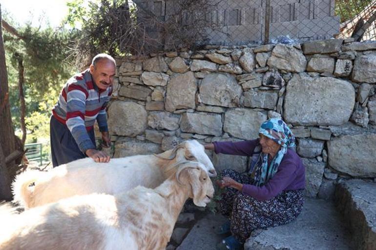 84 yaşındaki Gülistan nine Türkiyedeki son temsilcilerinden biri: Kimseye öğretemedim.