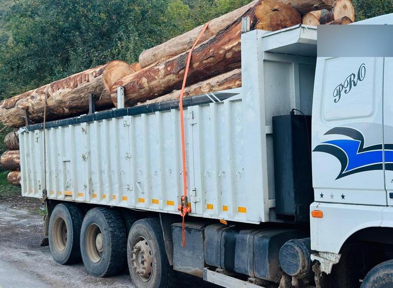 Ormanda bin ağaç kesildi iddiası Çifte soruşturma başlatıldı