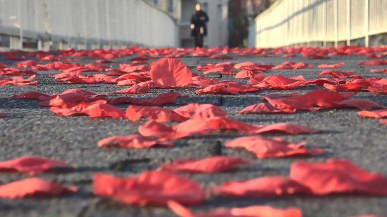 İstanbulluları şaşırtan romantizm: Kim yapmışsa güzel düşünmüş, ilk defa görüyorum