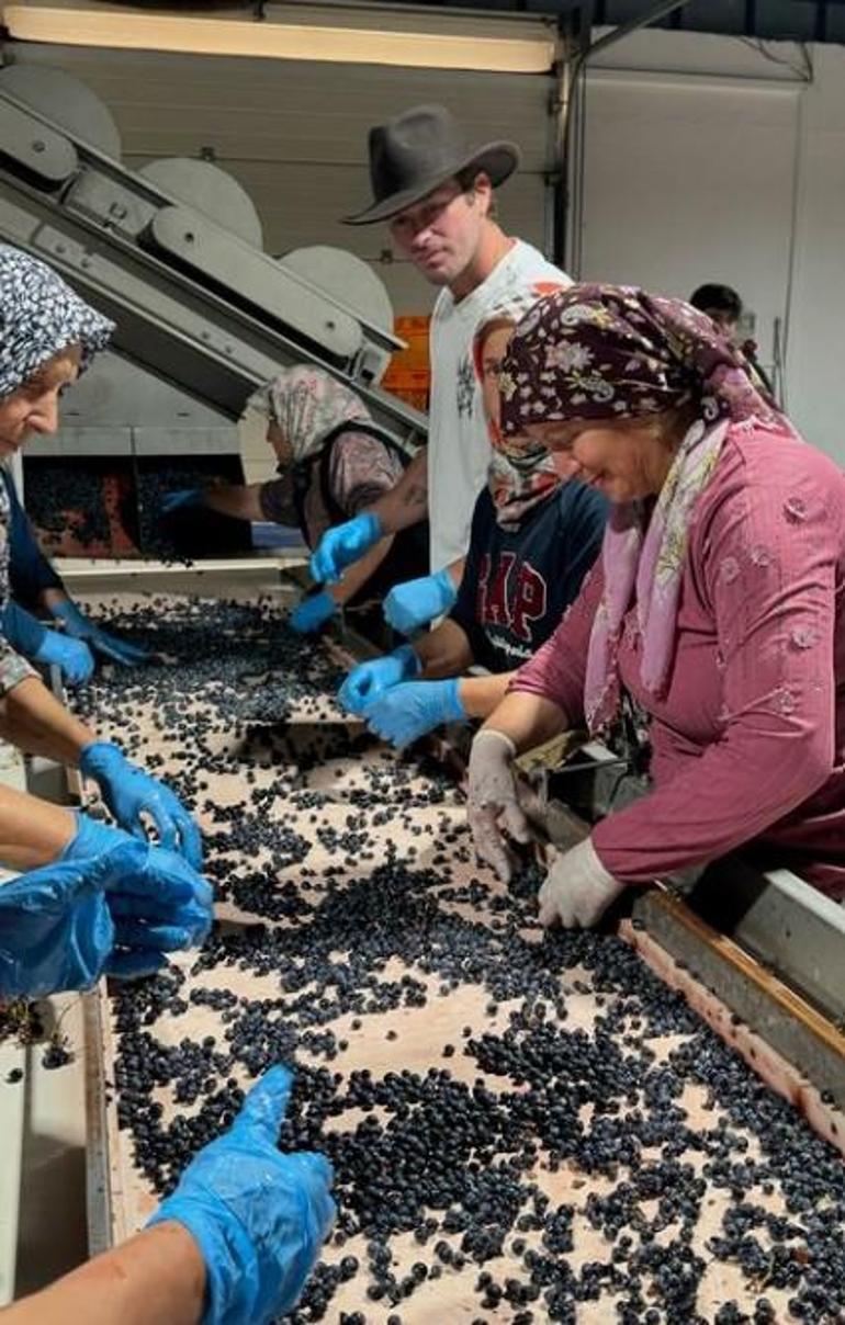 Başak Dizerden Kıvanç Tatlıtuğa romantik kutlama Kahramanın yolculuğu