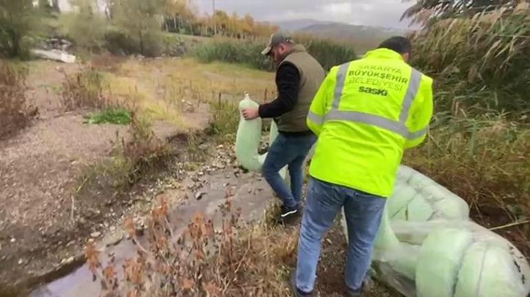 Sapanca Gölünde amatör balıkçılar gördü, ekipler hemen harekete geçti