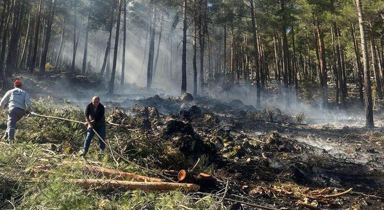 Bursa’nın 2 ilçesinde orman yangını Müdahale ediliyor