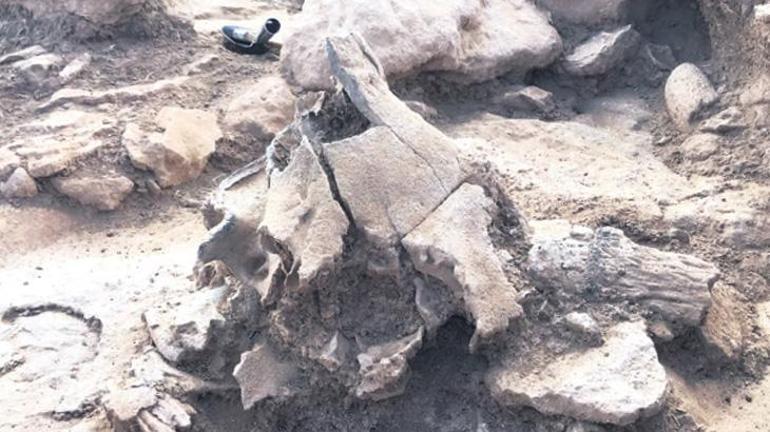 Göbeklitepelilerin atası: Çakmaktepeliler