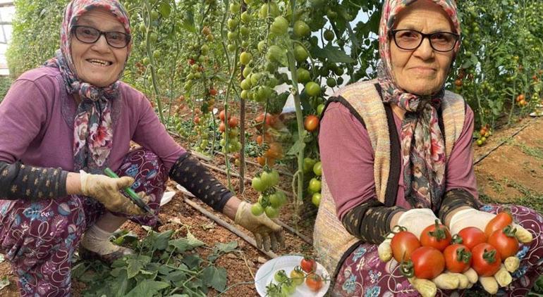 Her şey 46 yıl önce 5 çocuğu ile kocası tarafından terk edilince başladı